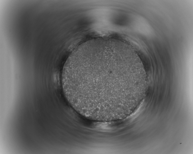 X0000096650182200802261328