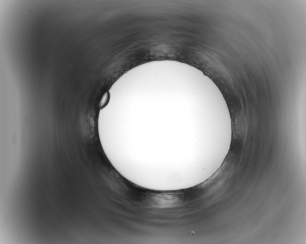 X0000096650183200802261329