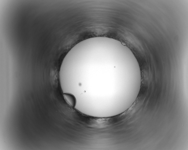 X0000096650184200802261329