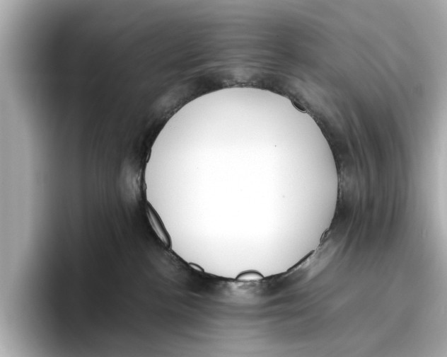 X0000096650188200802261329