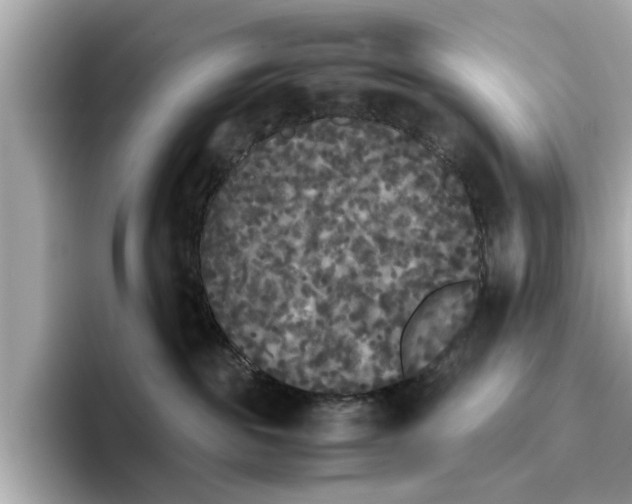 X0000096650189200802261329