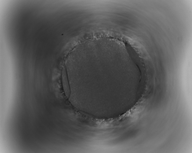 X0000096650192200802261329