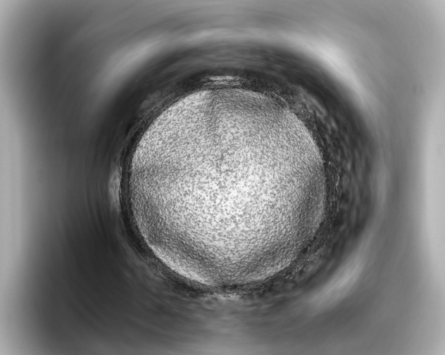 X0000096650194200802261328