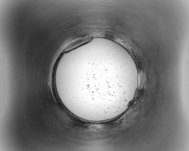 X0000096650195200802261328