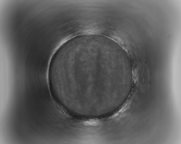 X0000096650196200802261328