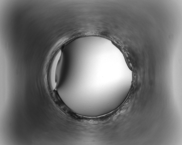 X0000096650197200802261328