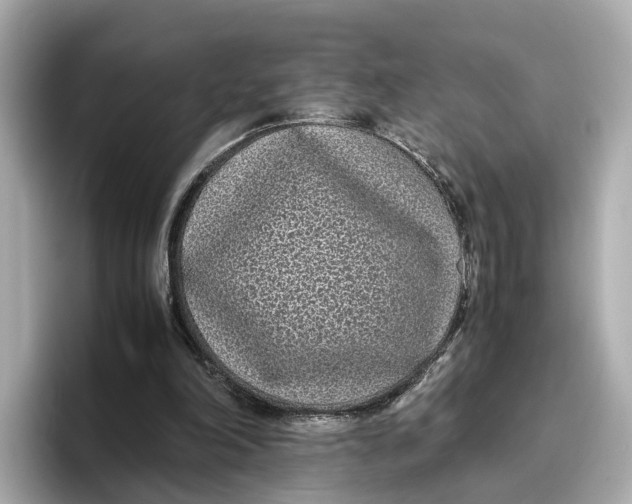 X0000096650198200802261328