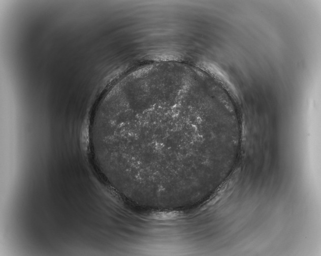 X0000096650202200802261328