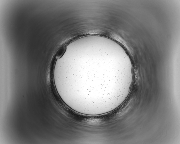 X0000096650203200802261328