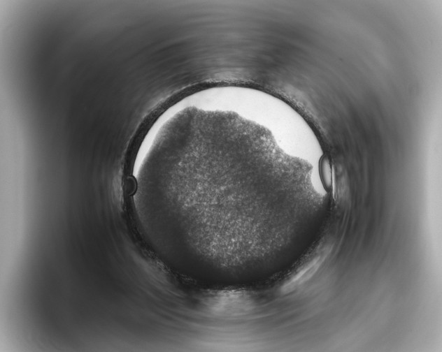 X0000096650204200802261328