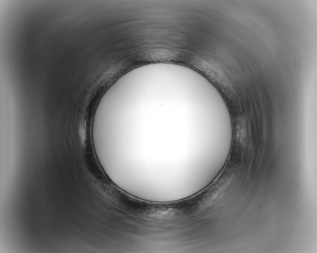 X0000096650206200802261328