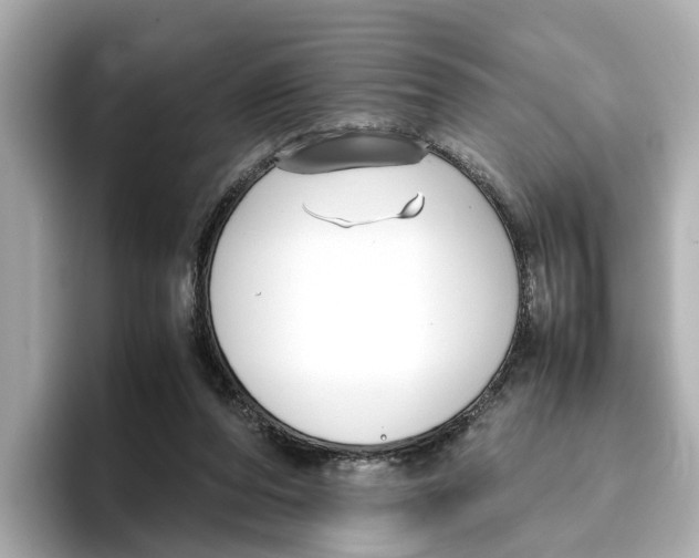 X0000096650208200802261328