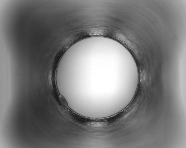 X0000096650209200802261328