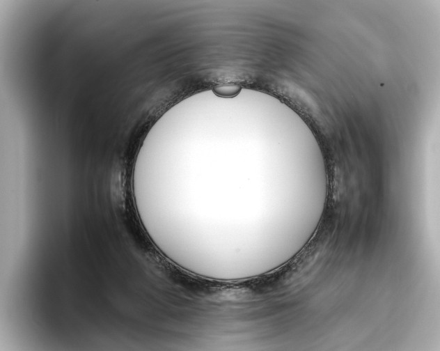 X0000096650210200802261328