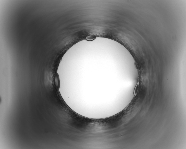 X0000096650211200802261328