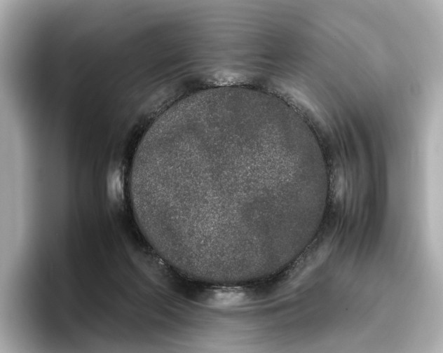 X0000096650214200802261328