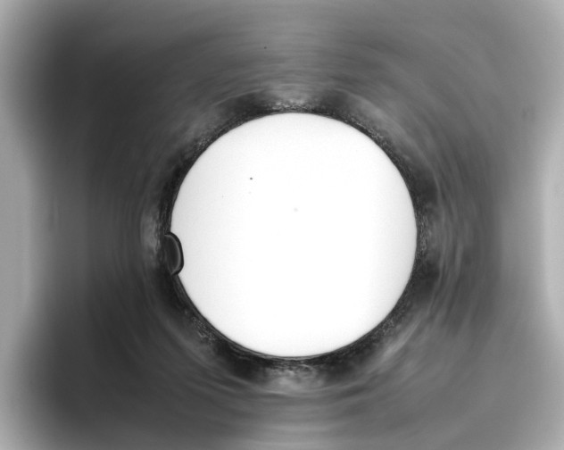 X0000096650215200802261328