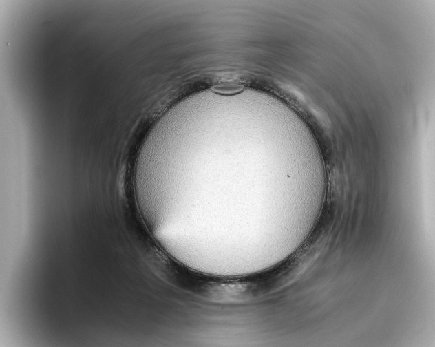 X0000096650217200802261328