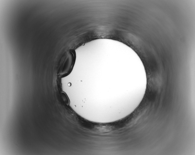 X0000096650221200802261328