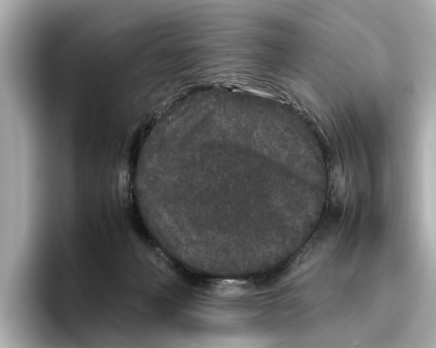 X0000096650222200802261328