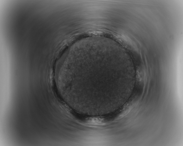 X0000096650223200802261328