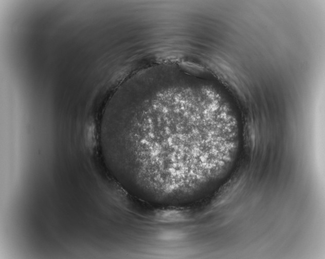 X0000096650224200802261328