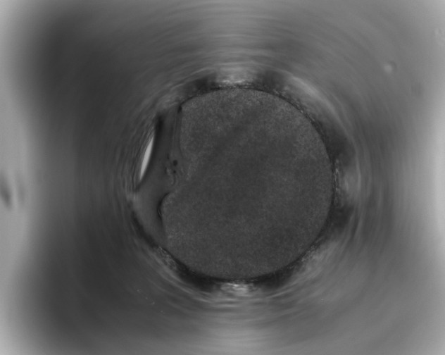 X0000096650227200802261327