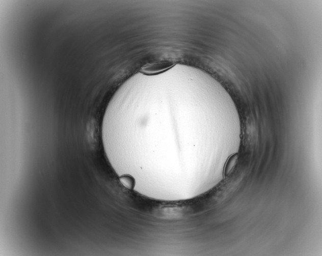 X0000096650228200802261327