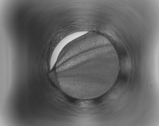 X0000096650229200802261327