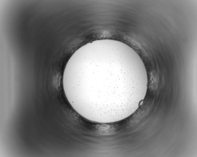 X0000096650230200802261327