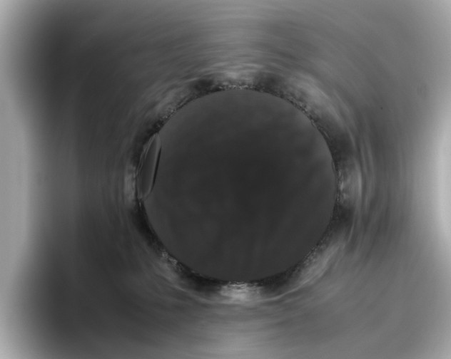 X0000096650231200802261327