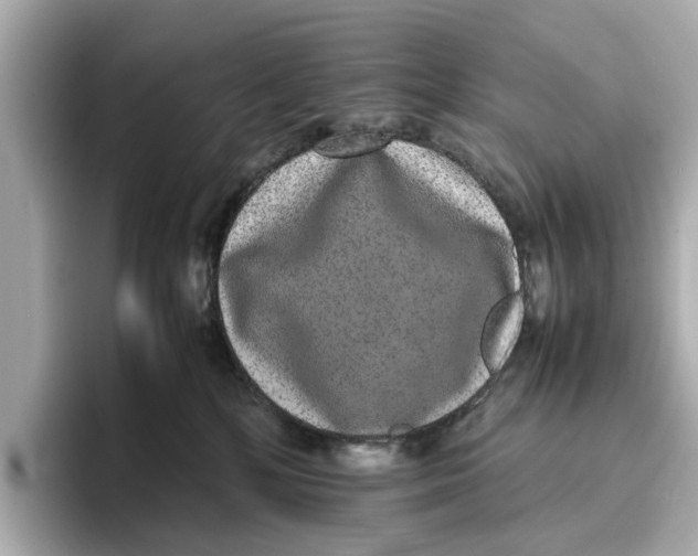 X0000096650232200802261327