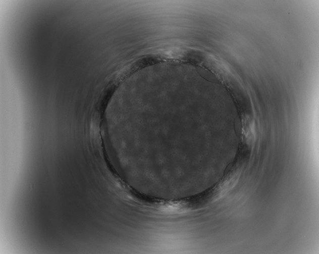 X0000096650235200802261327