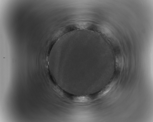 X0000096650237200802261327