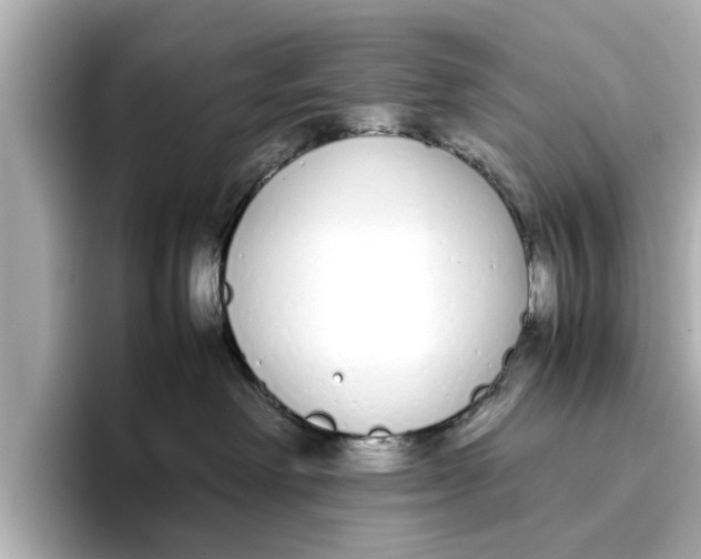 X0000096650238200802261327