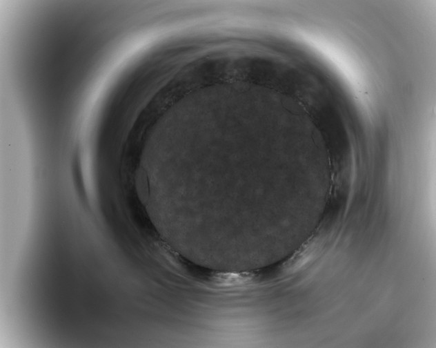 X0000096650239200802261327