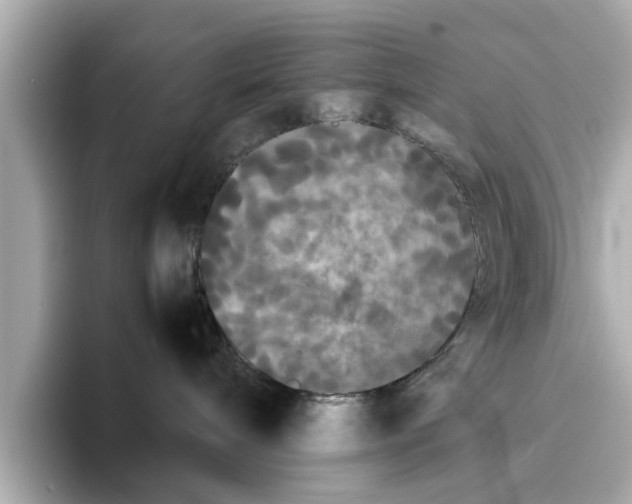 X0000096650240200802261327