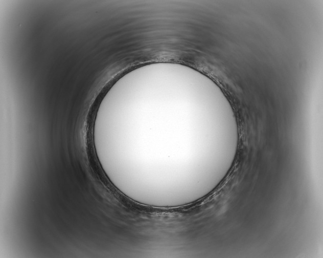 X0000096650242200802261327