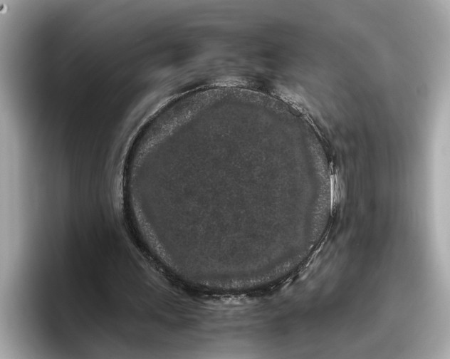 X0000096650243200802261327