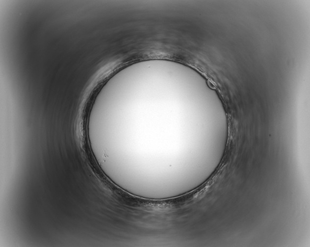 X0000096650245200802261327