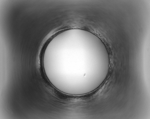 X0000096650246200802261327