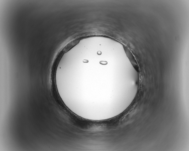 X0000096650248200802261327