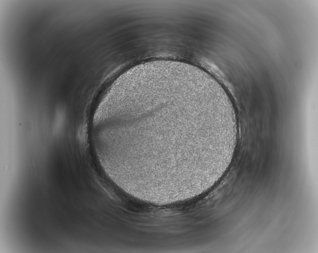 X0000096650249200802261327