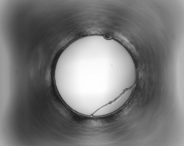 X0000096650250200802261327