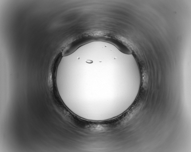 X0000096650254200802261327