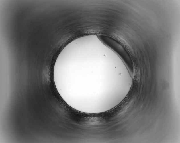 X0000096650255200802261327