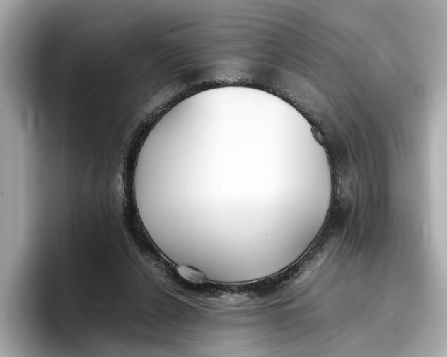 X0000096650256200802261327