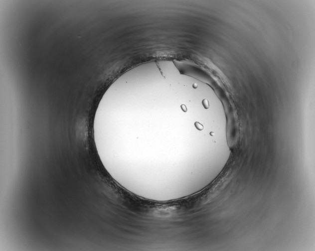 X0000096650257200802261327