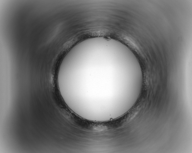 X0000096650258200802261327