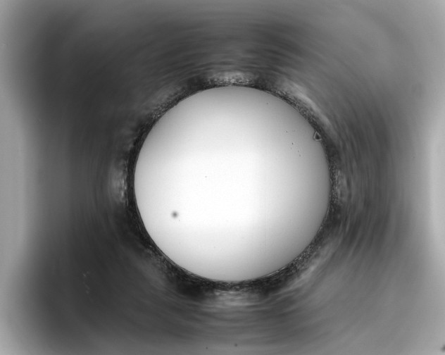 X0000096650259200802261327